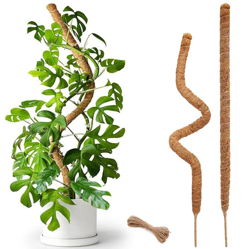 Plantensteun Buigbare Mosstok  - Sphagnum Moss Dry recensie en prijs