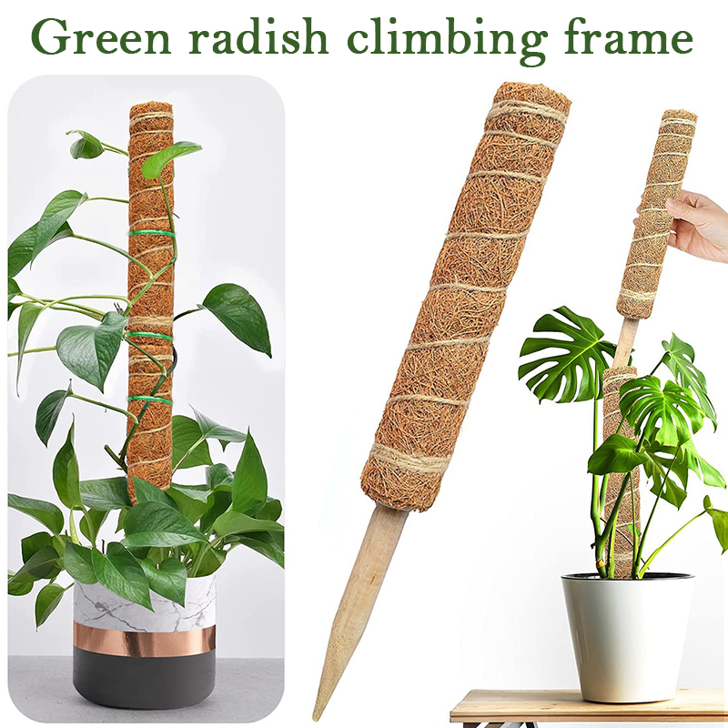 30/40/50 Cm Plant Klimmen Koko - Sphagnum Moss Dry recensie en prijs