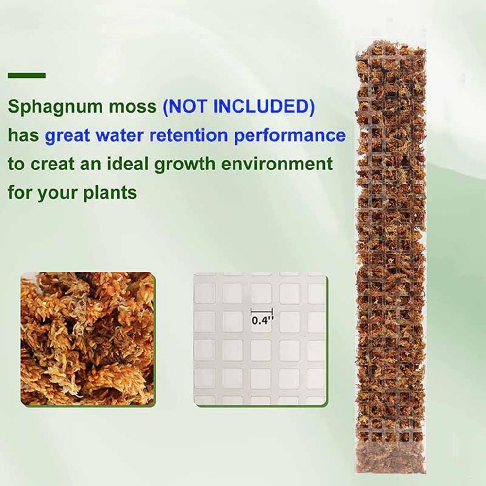 Klimplanten, mospaal, bevestig - Sphagnum Moss Dry recensie en prijs